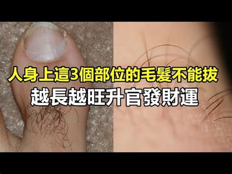 手毛變白|【手上長白毛】揭秘手上長白毛的真相：吉兆還是凶兆？